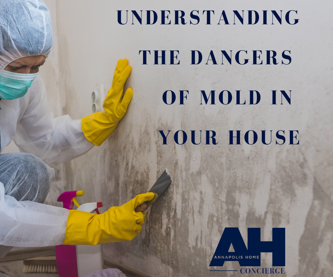 Understadnign Dangers of mold