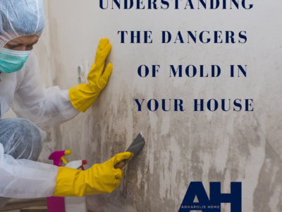 Understadnign Dangers of mold