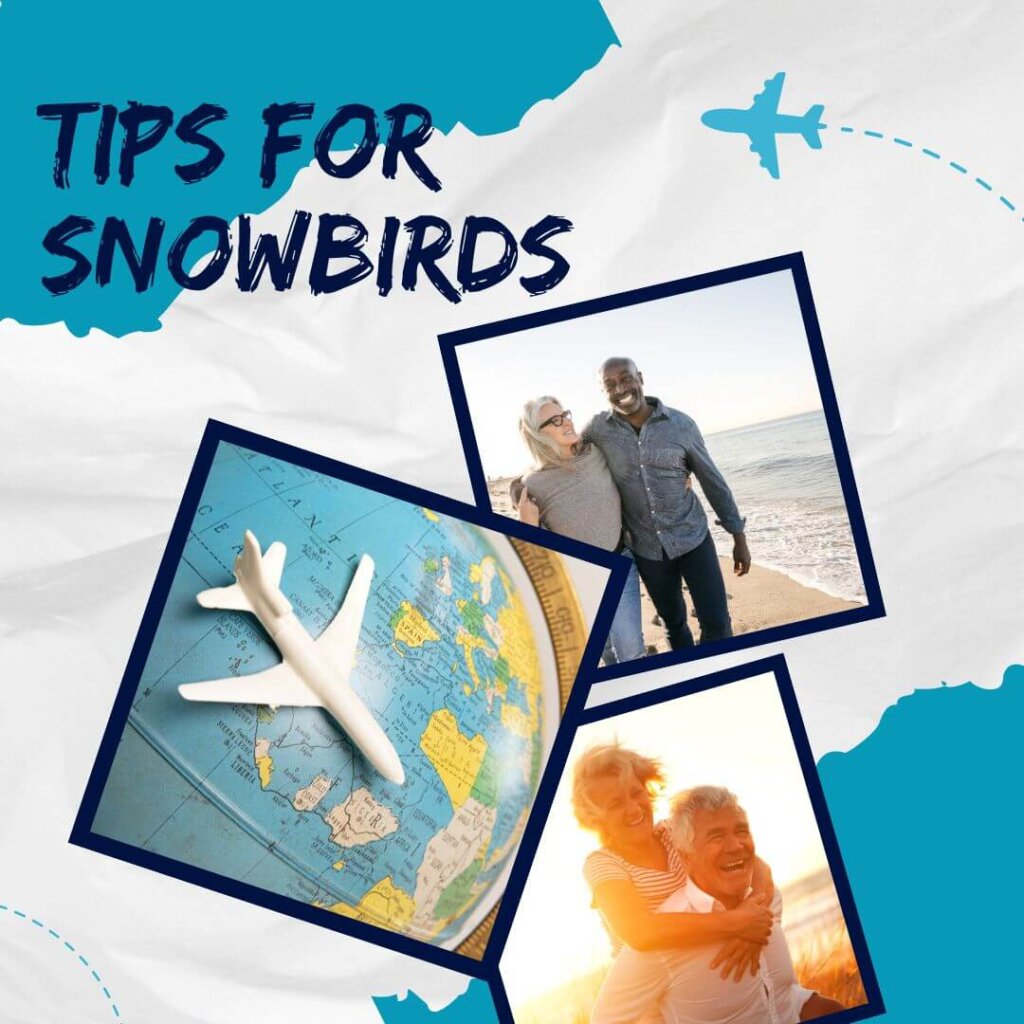 snowbird tips